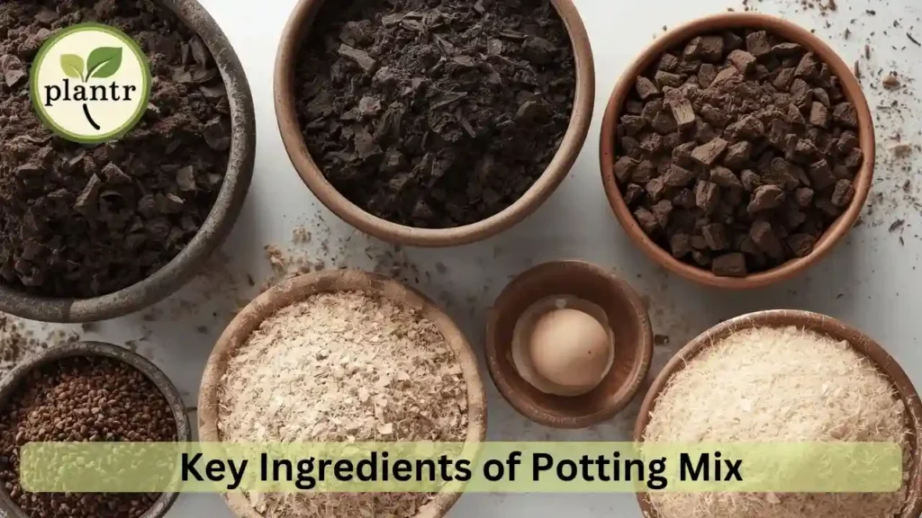 Common ingredients used in potting mix for balcony gardening