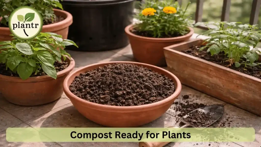 Organic compost prepared at home ready for gardening use