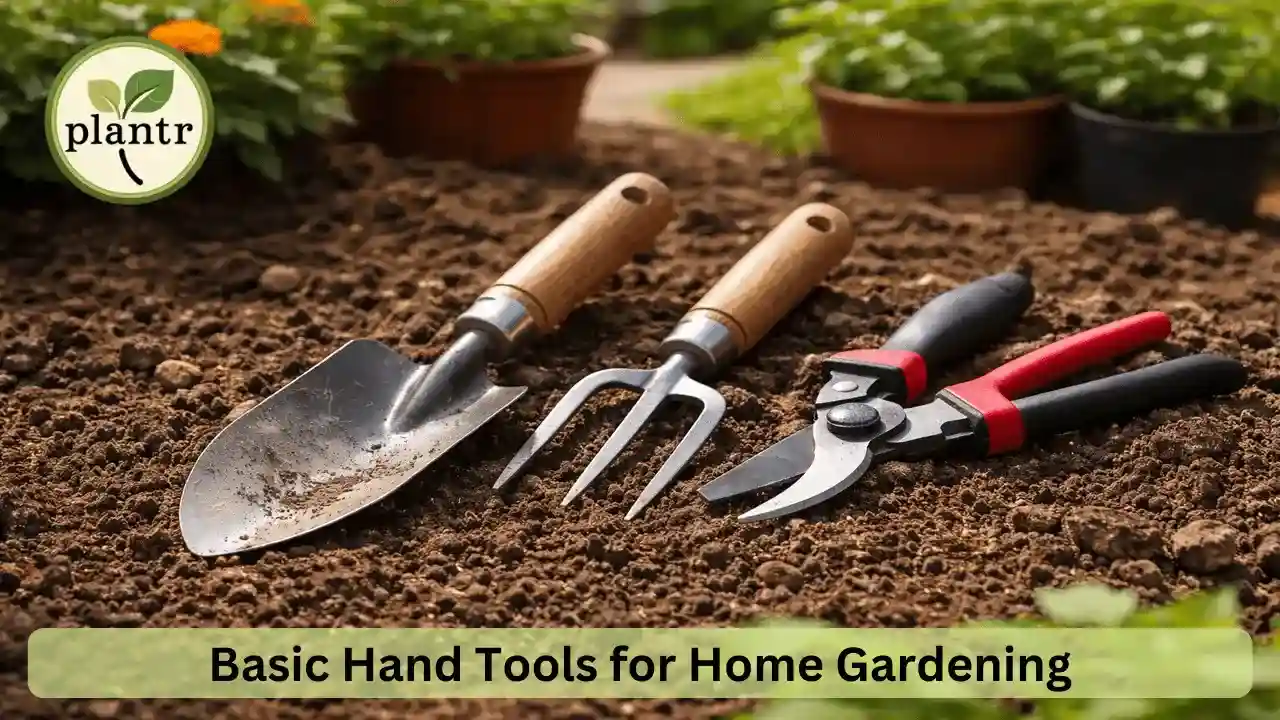 basic hand tools for home gardening