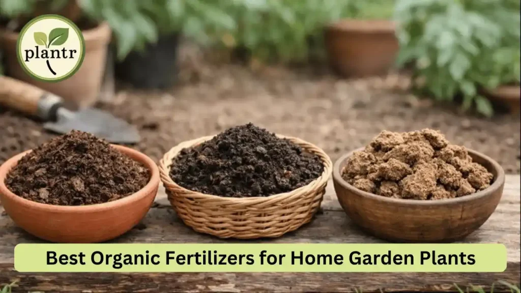 best organic fertilizer for garden plants