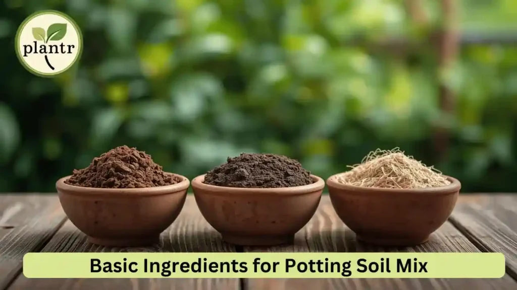 potting soil mix for plants