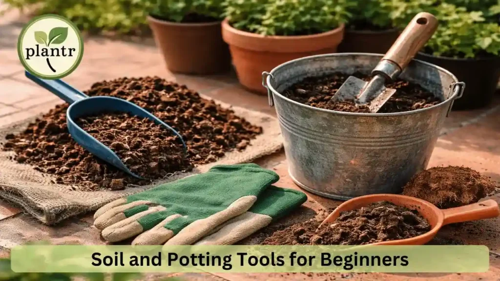 soil and potting tools for beginners
