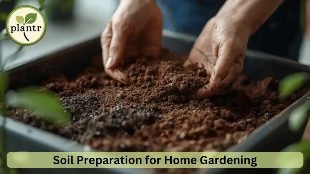 soil preparation for home gardening for beginners