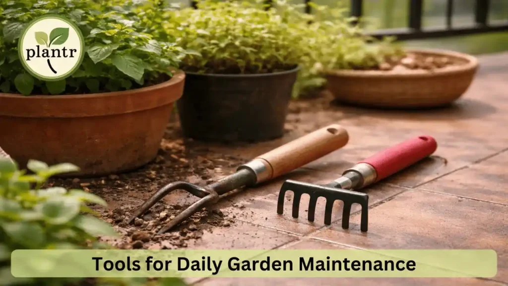 tools for daily garden maintenance