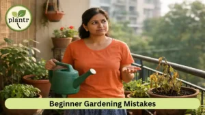 Common Mistakes New Gardeners Make