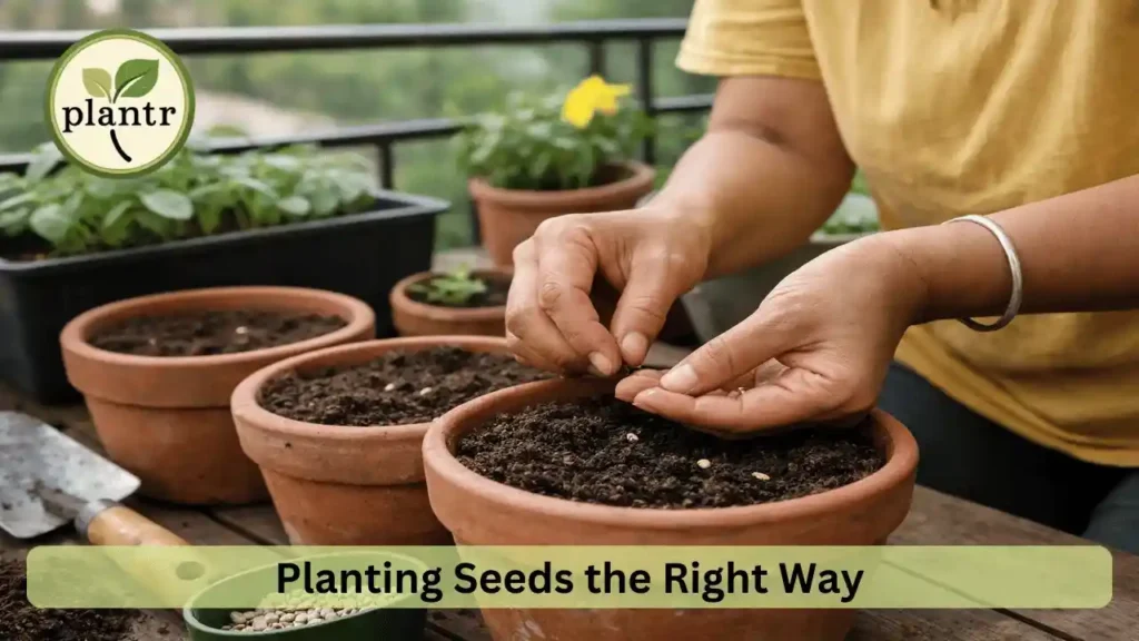 How Deep Should Seeds Be Planted