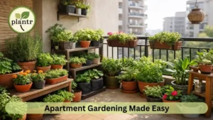 Small Space Gardening Ideas for Apartments