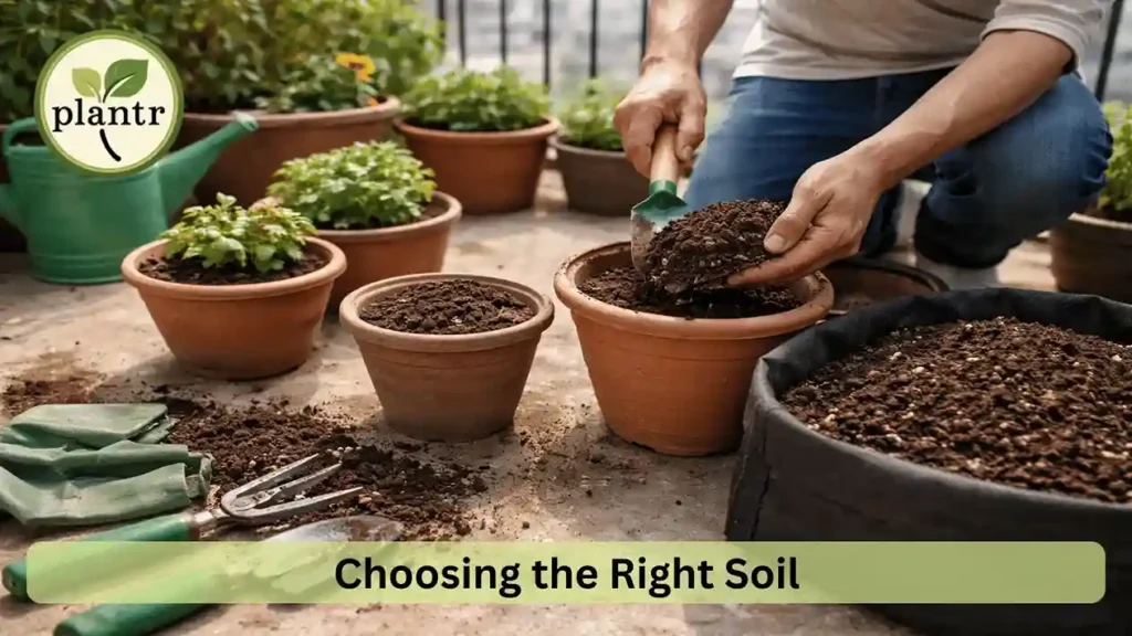 choosing correct soil for home gardening pots and plants