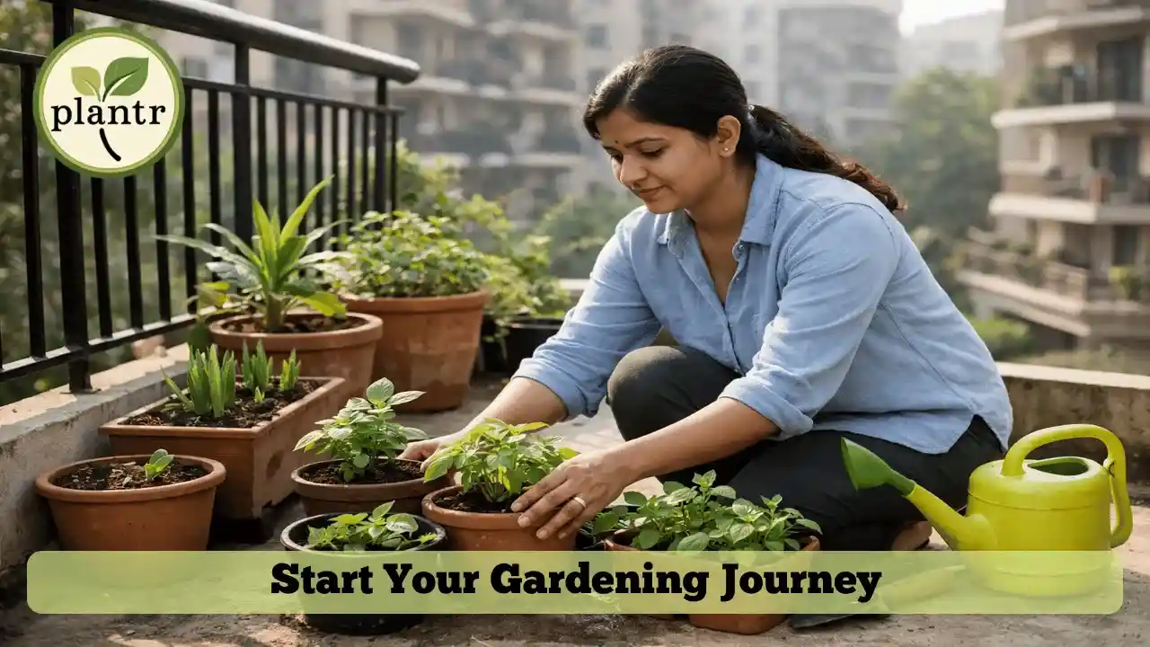 Gardening for Beginners in India